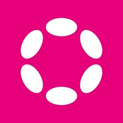 polkadot-mainnet